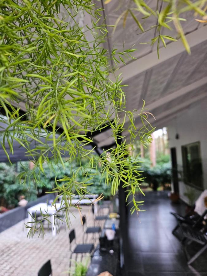 Benomadic Eco Hostel, Madikeri, Coorg Suntikoppa エクステリア 写真