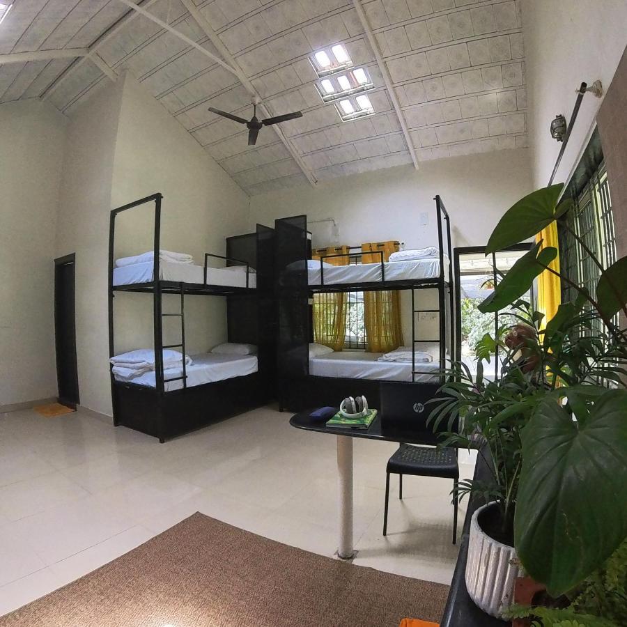 Benomadic Eco Hostel, Madikeri, Coorg Suntikoppa エクステリア 写真