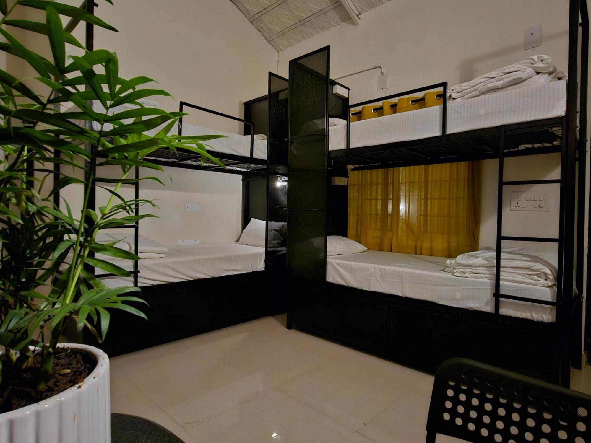 Benomadic Eco Hostel, Madikeri, Coorg Suntikoppa エクステリア 写真