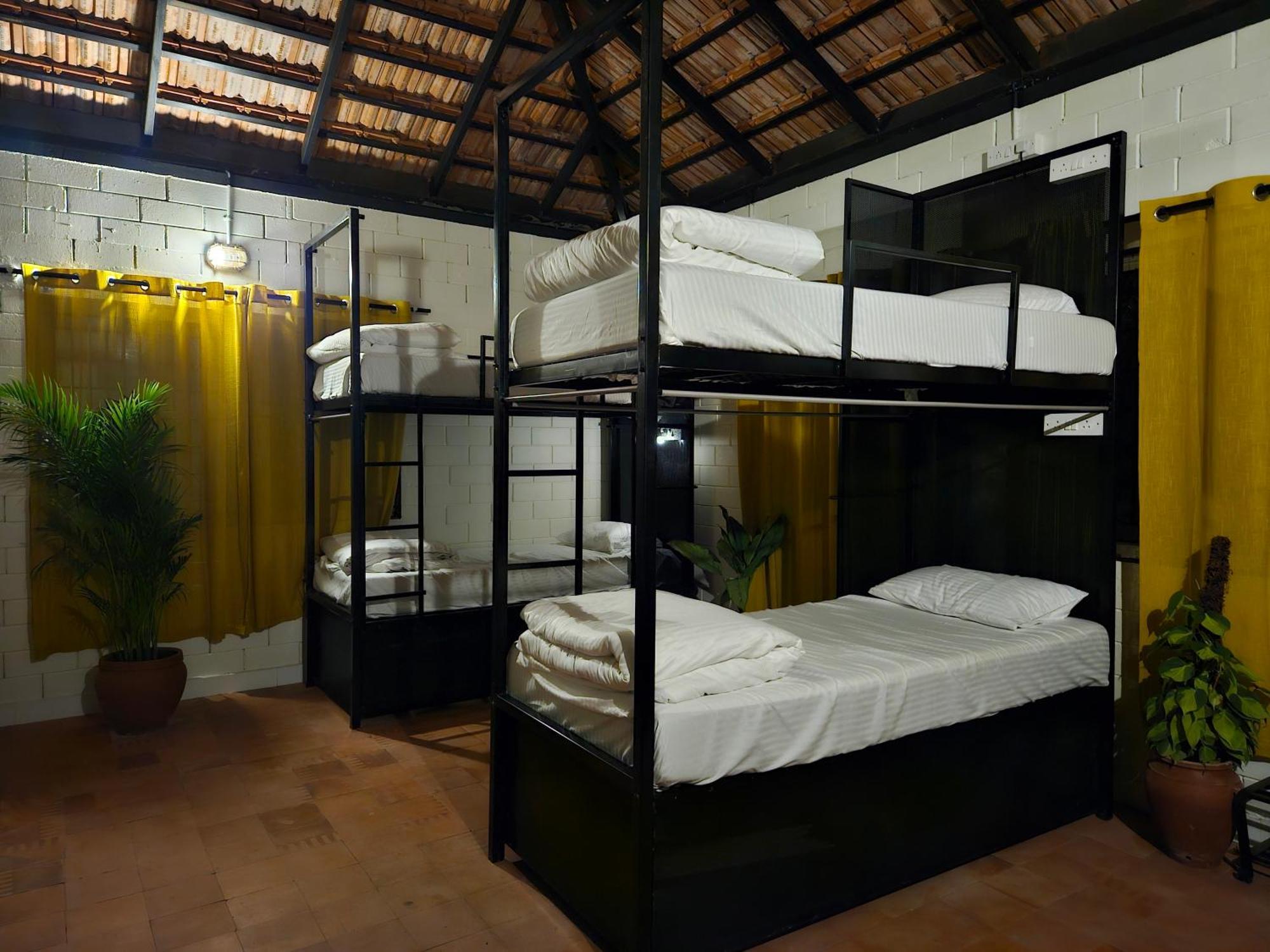Benomadic Eco Hostel, Madikeri, Coorg Suntikoppa エクステリア 写真