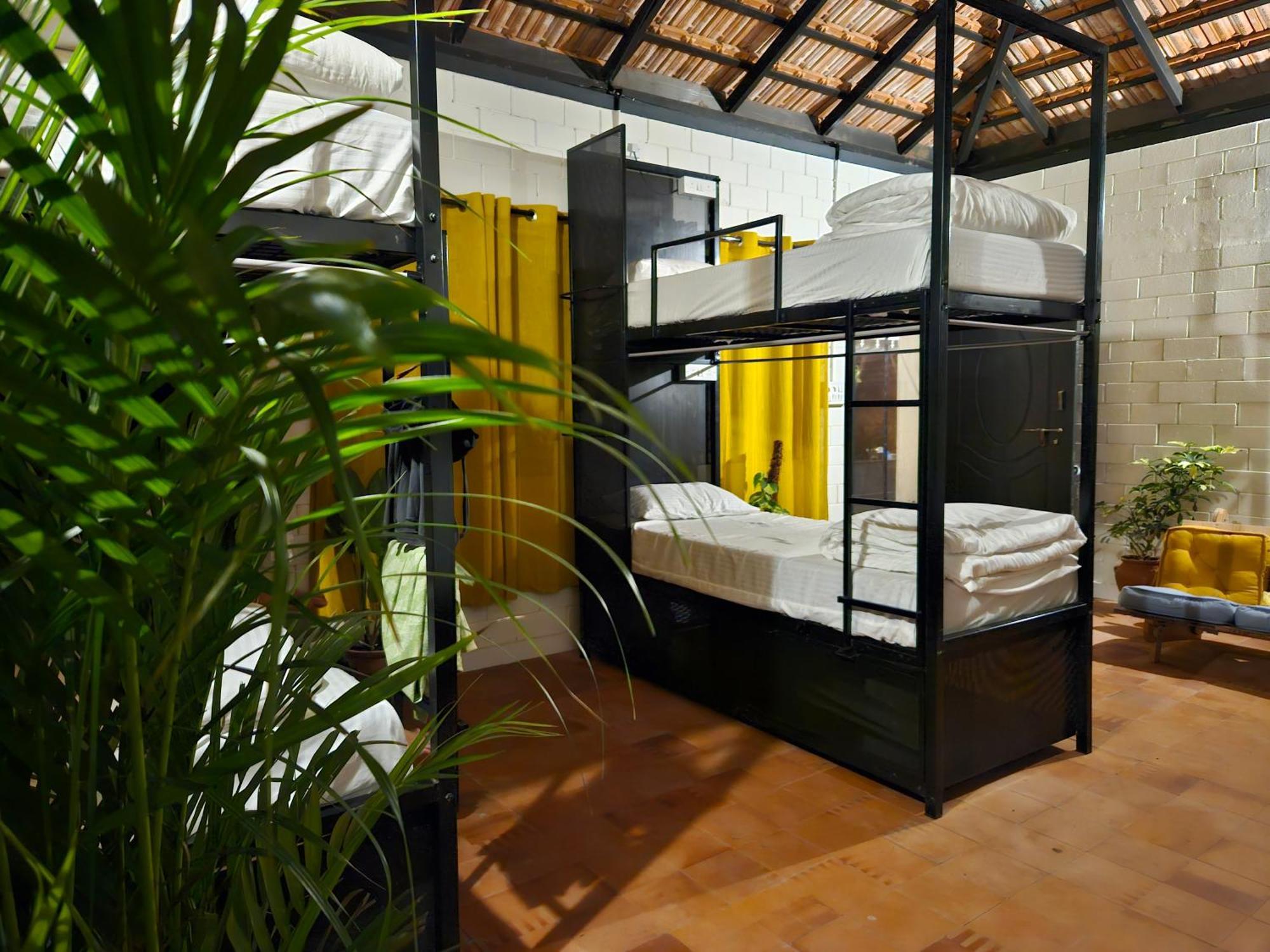 Benomadic Eco Hostel, Madikeri, Coorg Suntikoppa エクステリア 写真